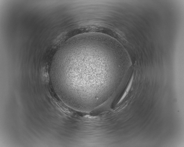 X0000067840771200604171152