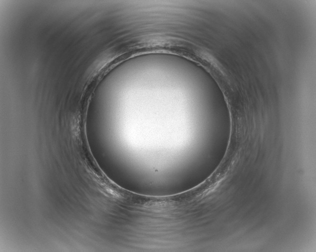 X0000067840778200604171152