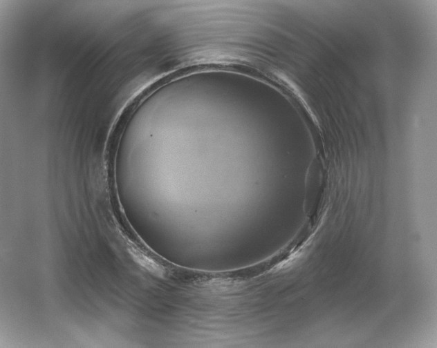 X0000067840779200604171152