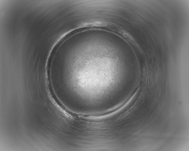 X0000067840784200604171151