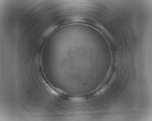 X0000067840785200604171151