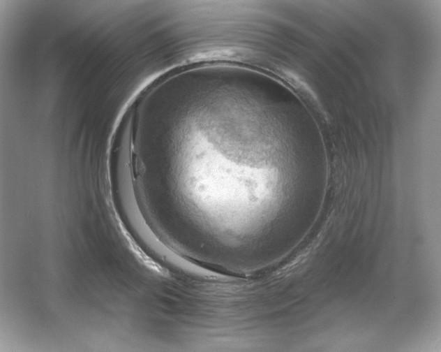 X0000067840792200604171151