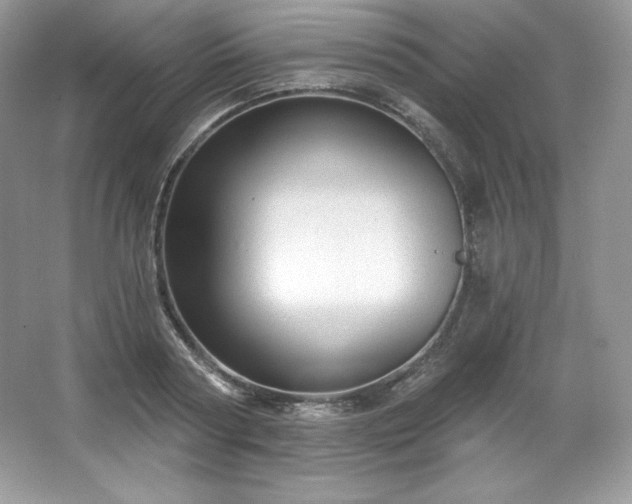 X0000067840794200604171151