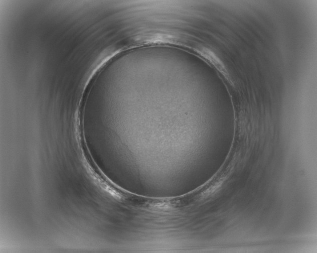 X0000067840798200604171151