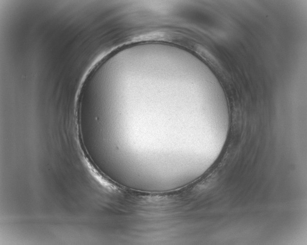 X0000067840800200604171151