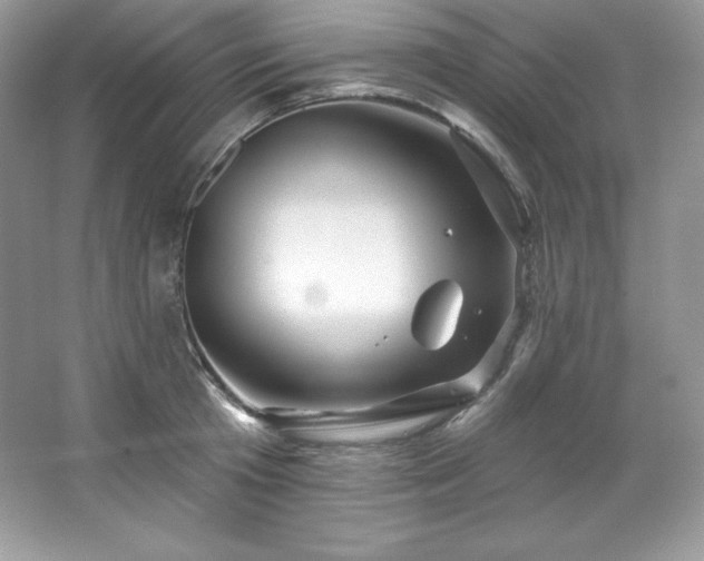 X0000067840801200604171151