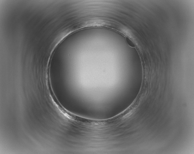 X0000067840802200604171151