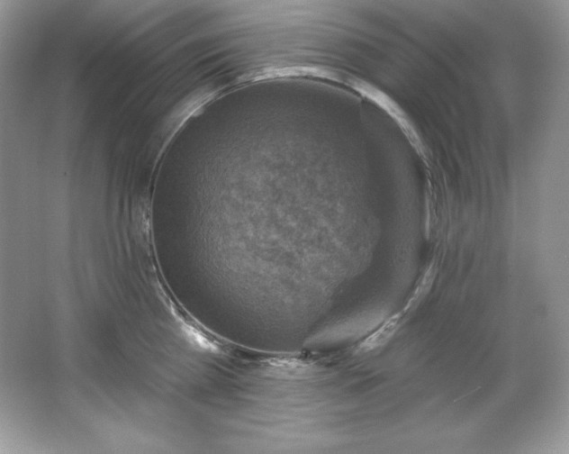 X0000067840809200604171151