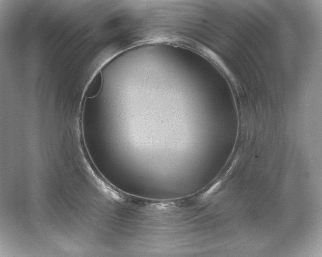X0000067840810200604171151