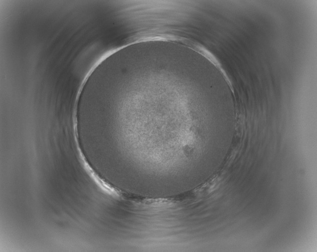 X0000067840811200604171151