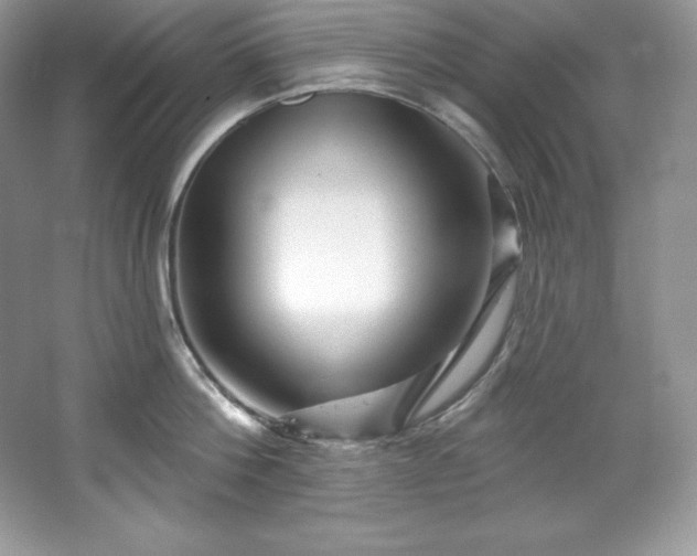 X0000067840812200604171151