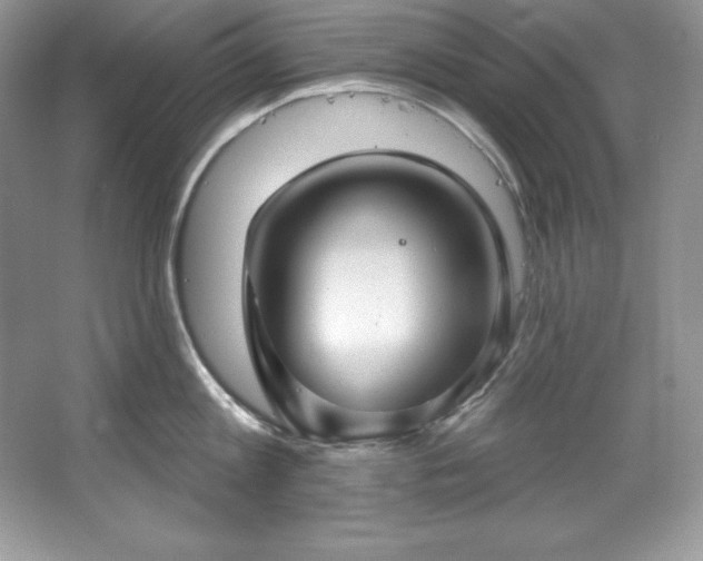 X0000067840813200604171151