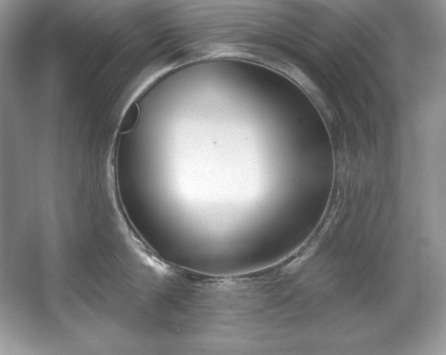 X0000067840814200604171151