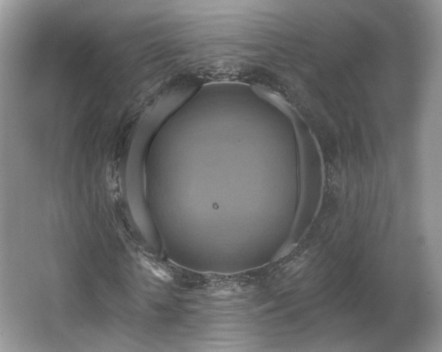 X0000067840818200604171150