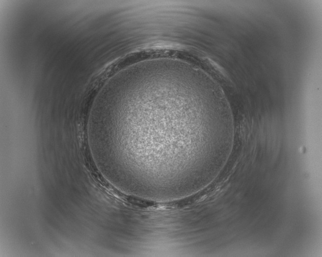 X0000067840821200604171150