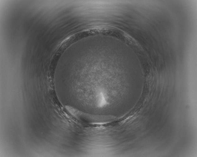X0000067840822200604171150