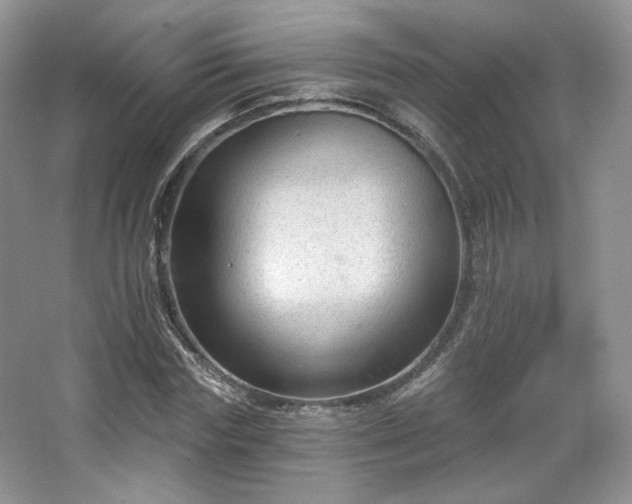 X0000067840827200604171150