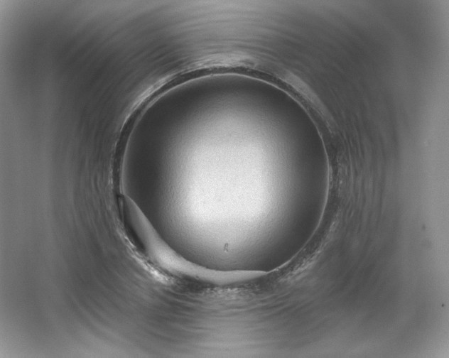 X0000067840834200604171150