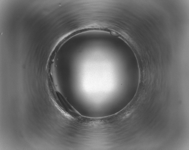 X0000067840838200604171151