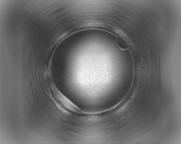 X0000067840841200604171151