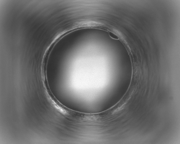 X0000067840843200604171151
