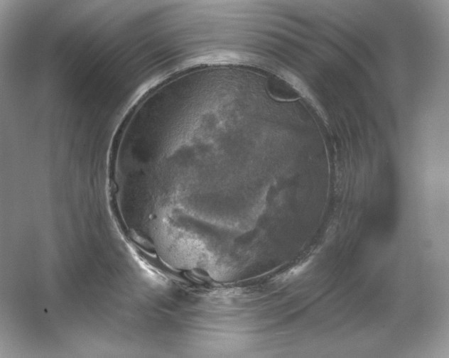 X0000067840845200604171151