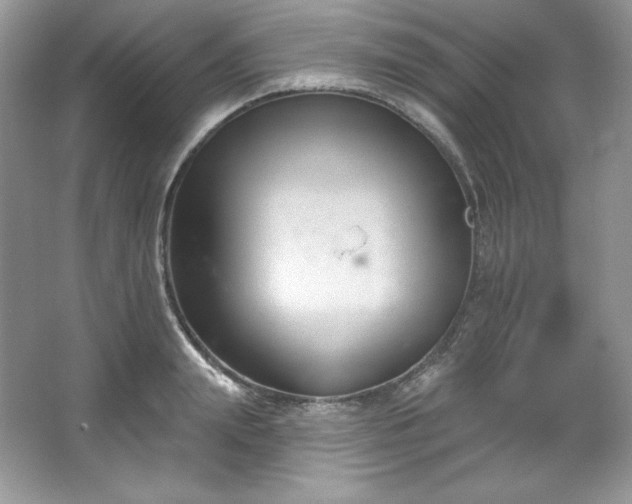 X0000067840847200604171151