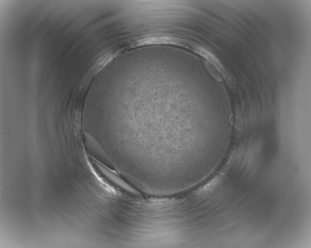 X0000067840849200604171151