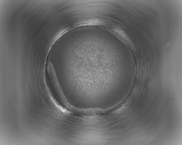 X0000067840850200604171151