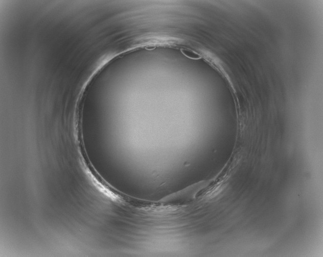 X0000067840851200604171151