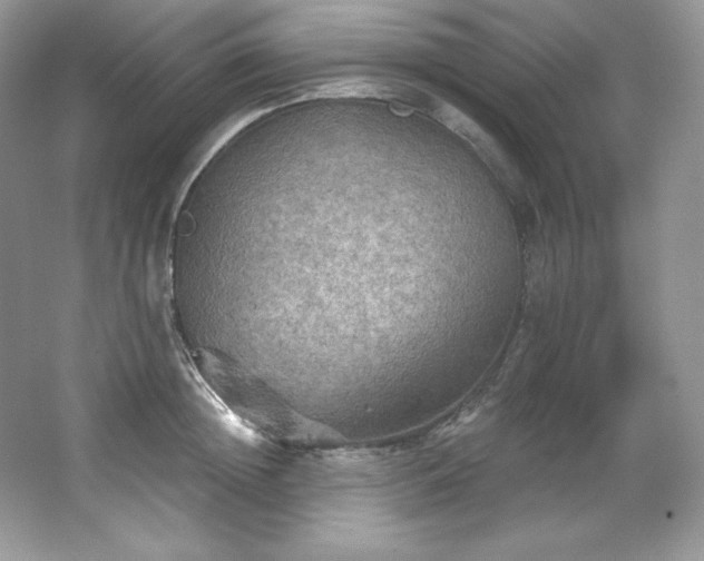 X0000067840852200604171151