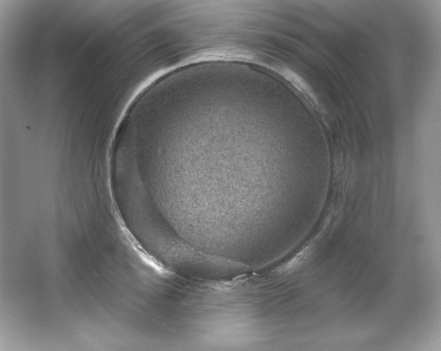 X0000067840854200604171151