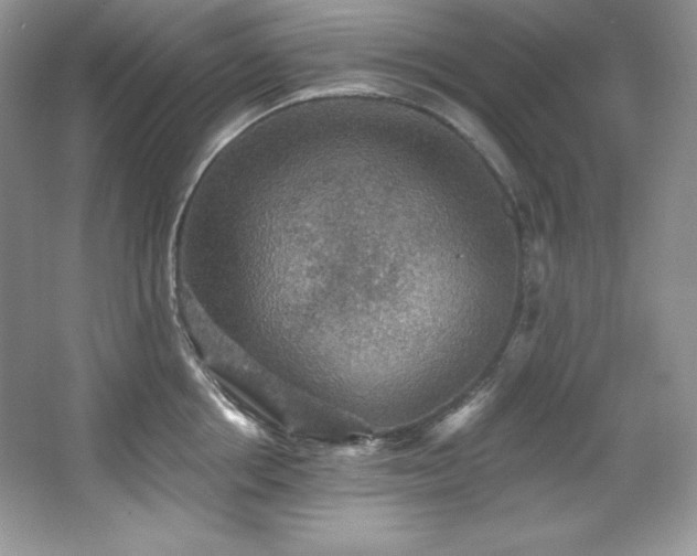 X0000067840858200604171151