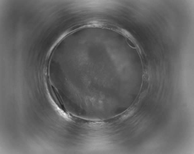 X0000067840859200604171151