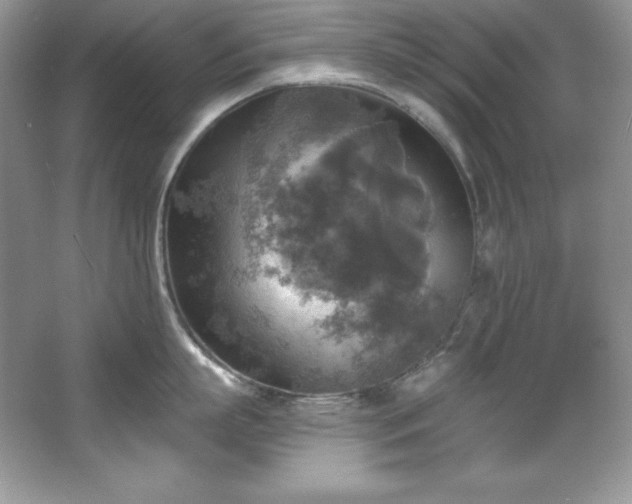 X0000067840863200604171151
