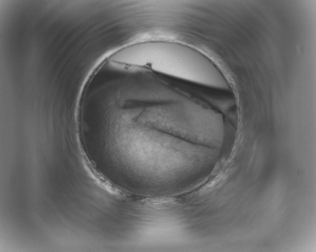 X0000067840864200604171151