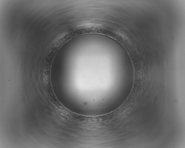 X0000067840869200604171150