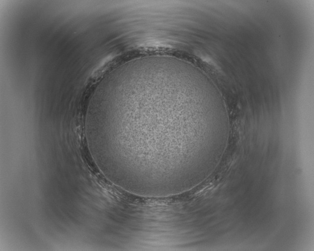 X0000067840870200604171150
