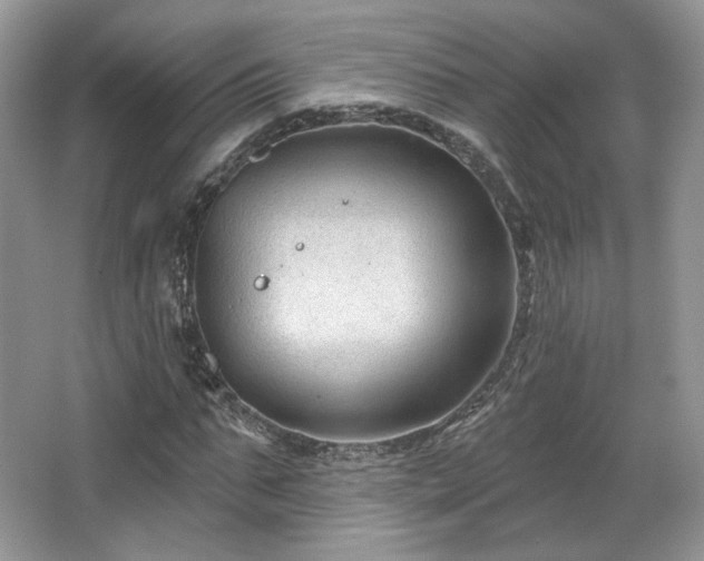 X0000067840871200604171150