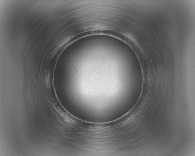 X0000067840873200604171150