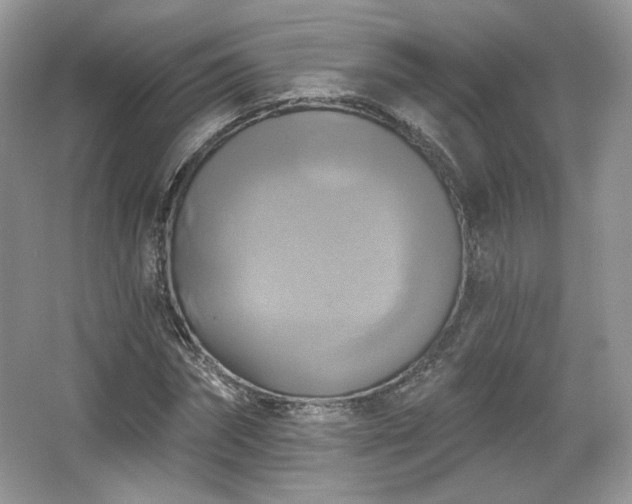 X0000067840874200604171150