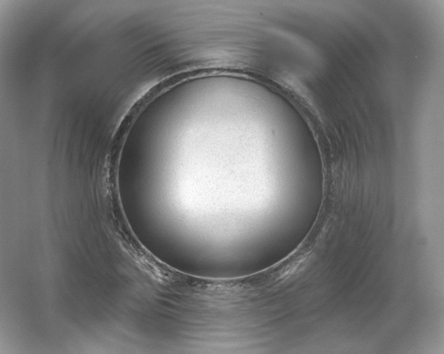 X0000067840875200604171150