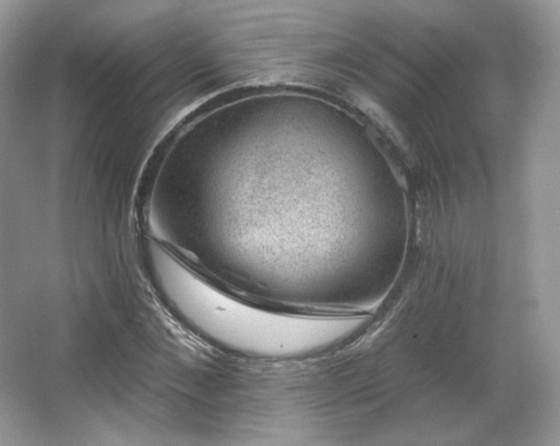 X0000067840876200604171150