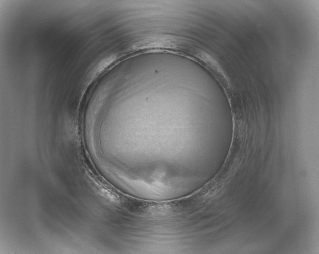 X0000067840882200604171150
