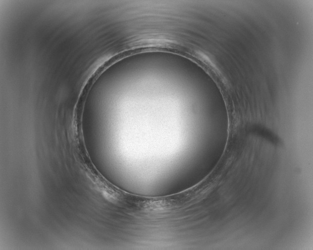 X0000067840883200604171150