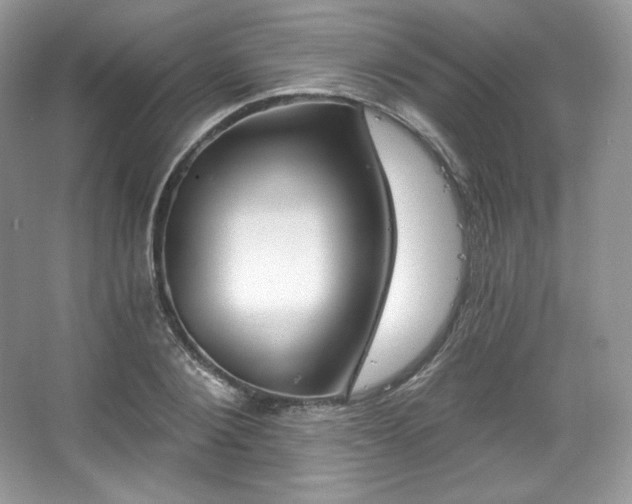 X0000067840884200604171150