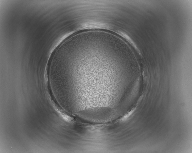 X0000067840885200604171150
