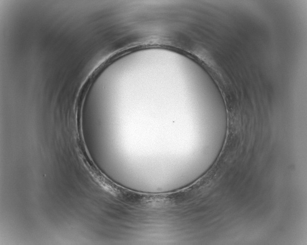 X0000067840886200604171150