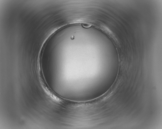 X0000067840892200604171150