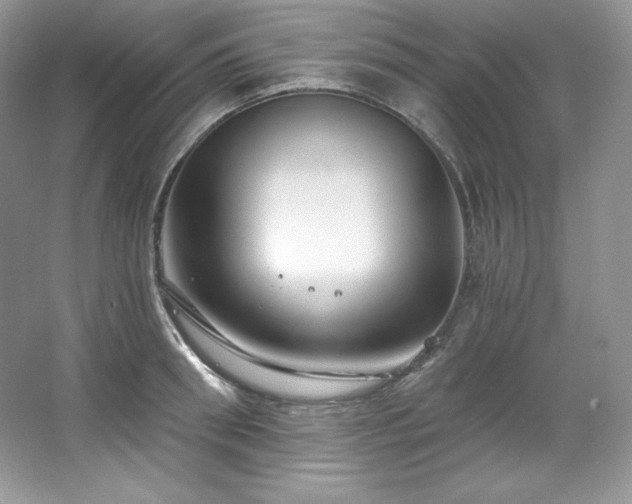 X0000067840898200604171150